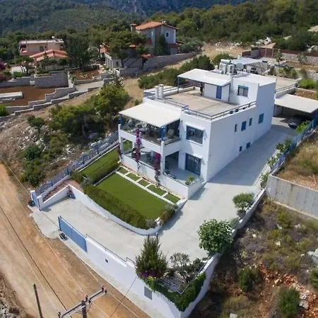 White-blue Luxury 2