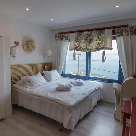 White-blue Luxury 2 *